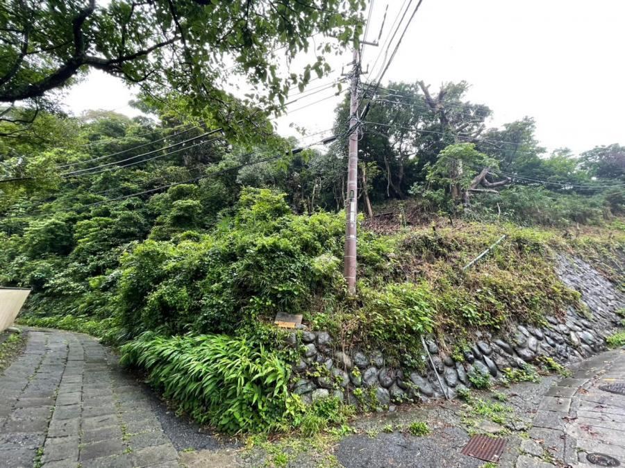Property - Photo 1