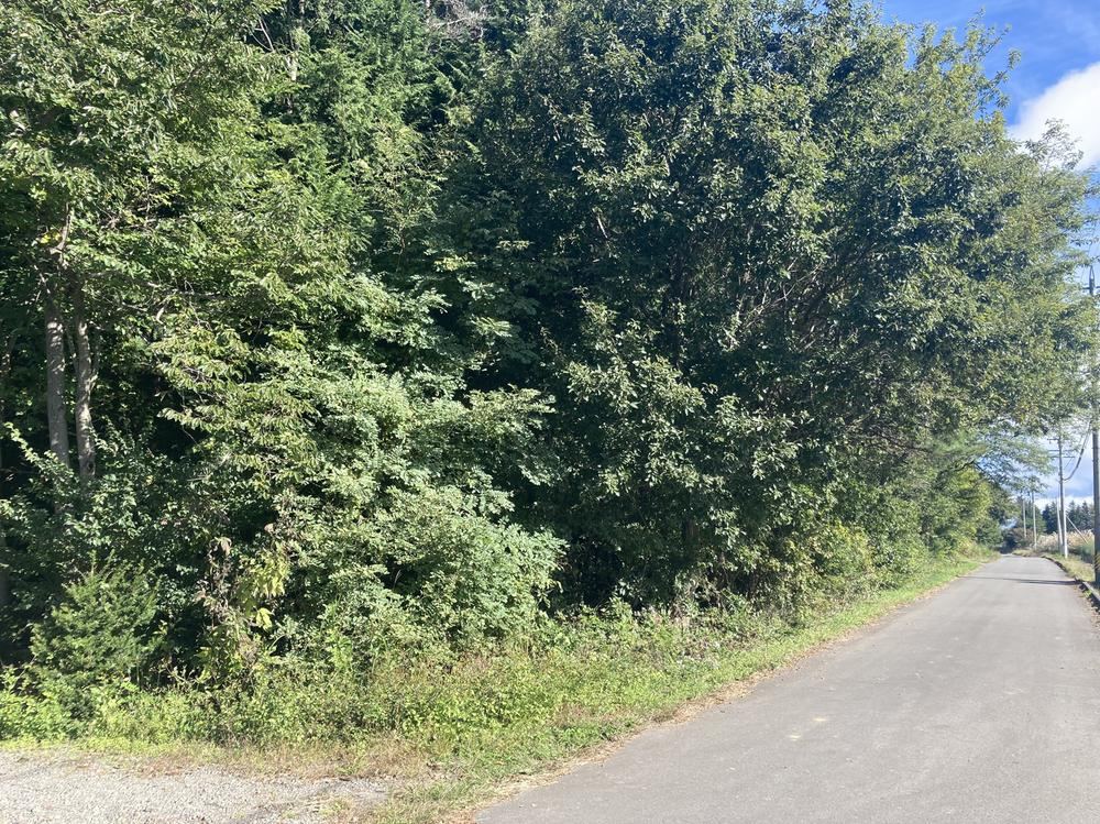 662 m² land in Tomi, Nagano - Photo 1
