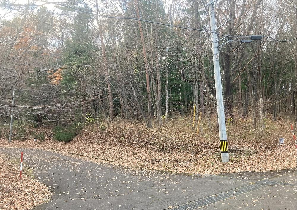 Spacious Corner Land in Royal City Miyagi Zao Resort - Photo 1