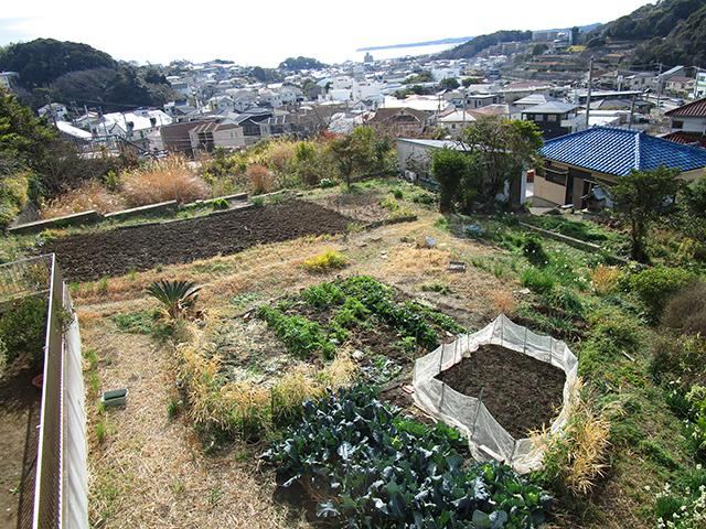 376 m² land in Yokosuka, Kanagawa - Photo 1