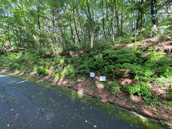 plot of land in Kiso District