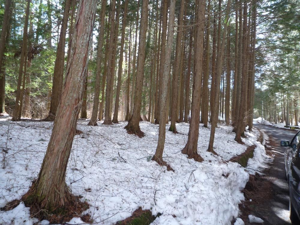 5916 m² land in Fujikawaguchiko, Minamitsuru District, Yamanashi - Photo 1