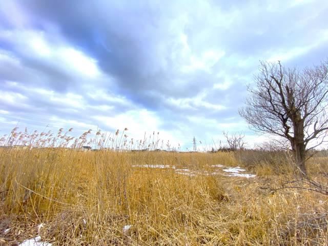 Land with Good Access in Showa - Photo 1