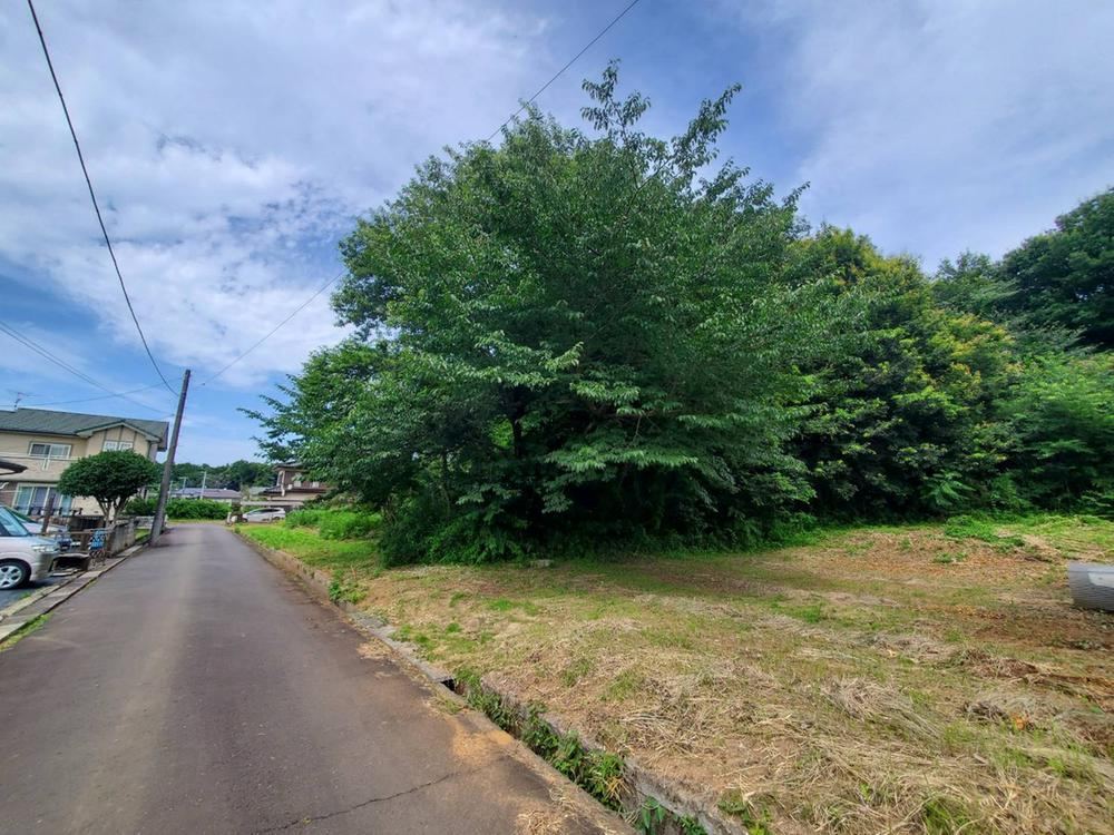 Land in Kamitamari - Photo 1
