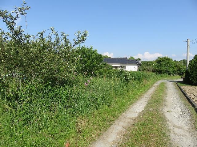 Property - Photo 1
