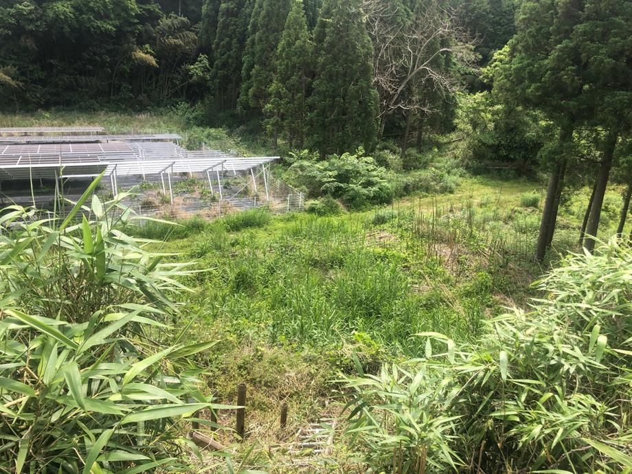 1096 m² land in Miyazaki, Miyazaki - Photo 1