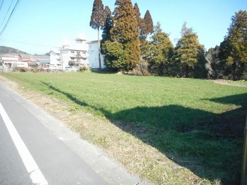 Property - Photo 1