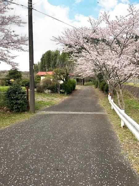 Large Land in Oshiicho, Chiba - Photo 1