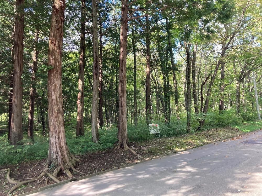 Spacious Land Near Active Resorts in Zao - Photo 1