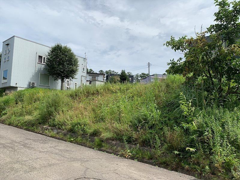 Vacant Land in Shinjo - Photo 1