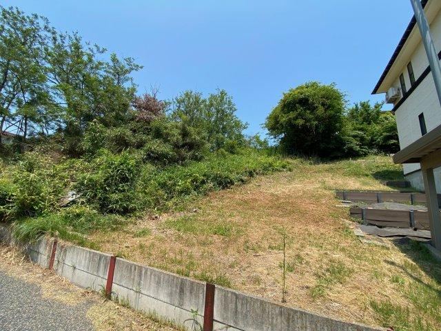 Land with Slope for Home Garden Potential - Photo 1
