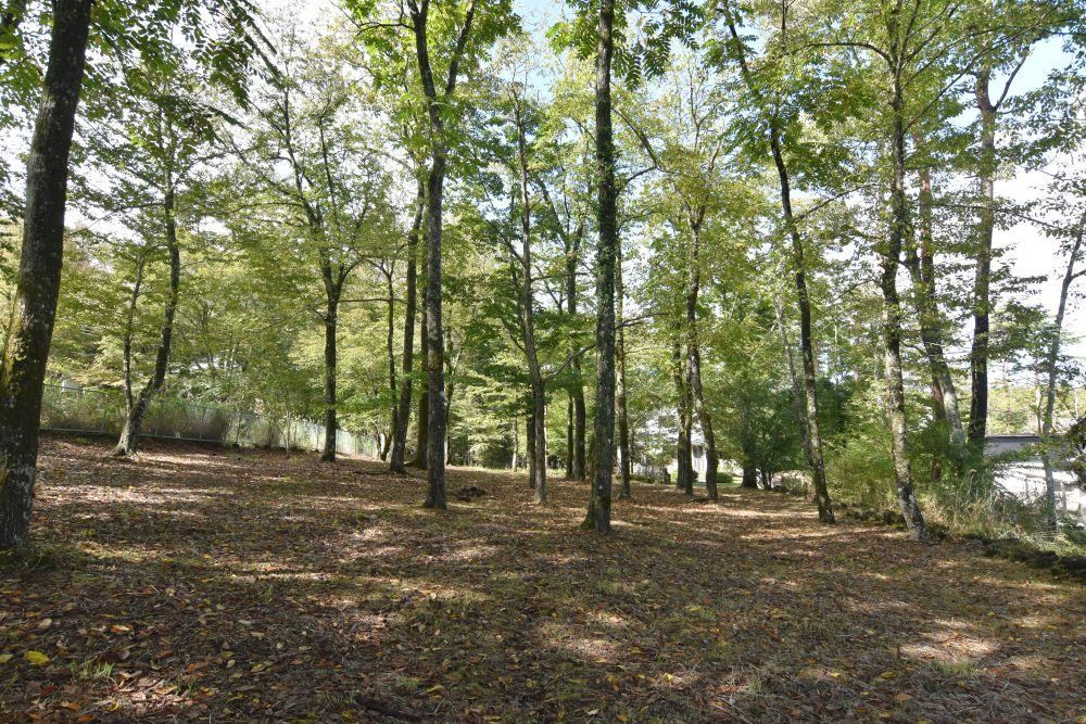 2505 m² land in Yamanakako, Minamitsuru District, Yamanashi - Photo 1