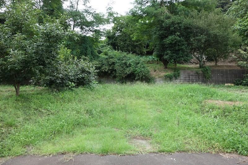 Spacious Land in a Quiet Environment - Photo 1