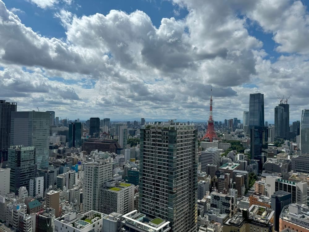 3LDK+S apartment in Minato Ward, Tokyo - Photo 1