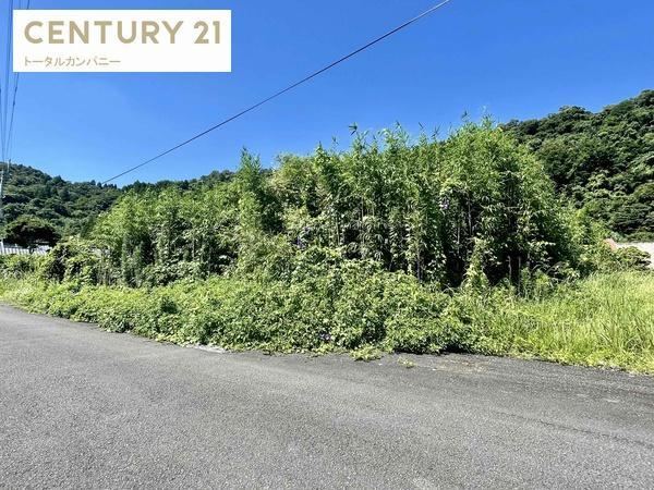 211 m² land in Miyazaki, Miyazaki - Photo 1