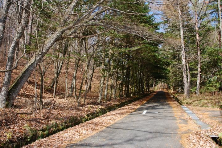 3019 m² land in Karuizawa, Kitasaku District, Nagano - Photo 1
