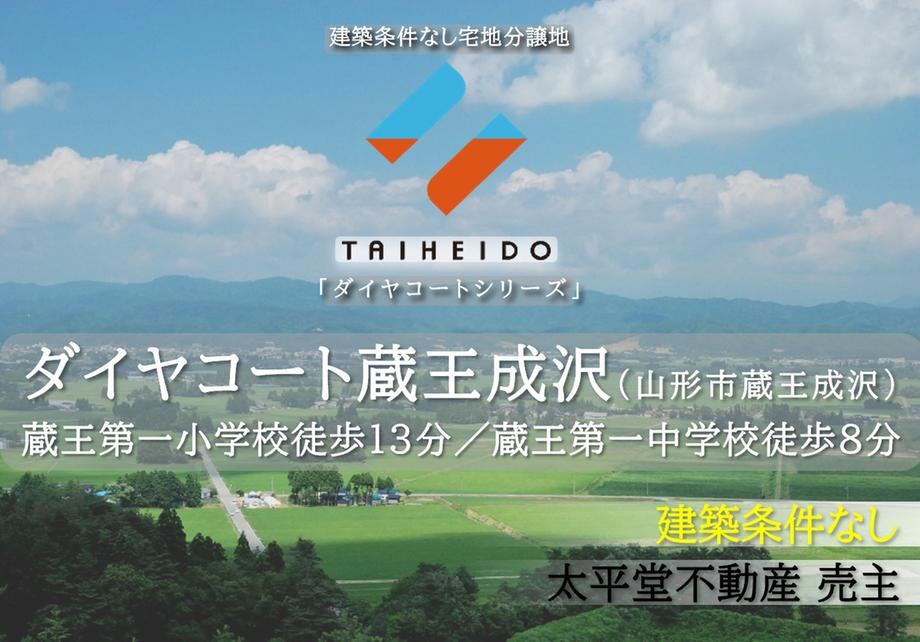 Land with No Building Conditions in Zao Naruse - Photo 1