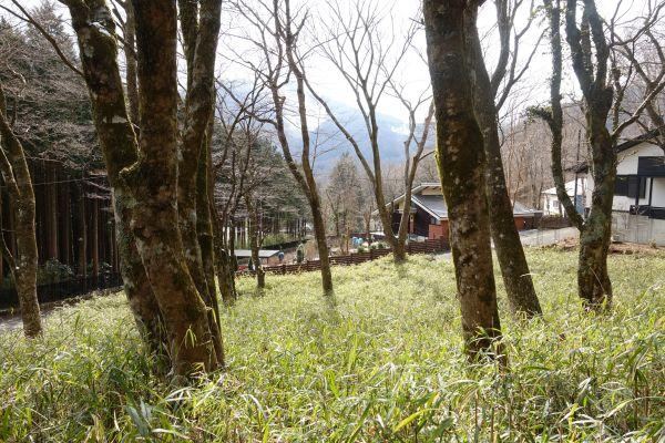 Peaceful Land in Sengokuhara - Photo 1