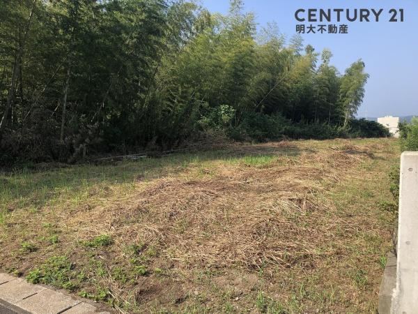 598 m² land in Miyazaki, Miyazaki - Photo 1