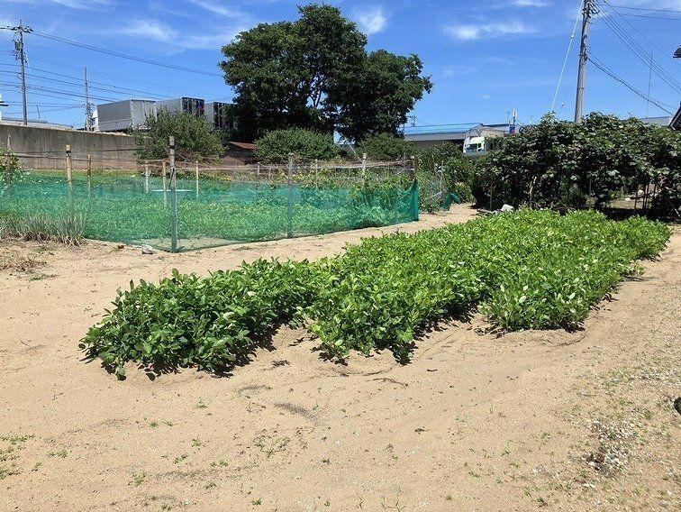1403 m² land in Kahoku, Ishikawa - Photo 1