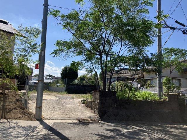 Property - Photo 1