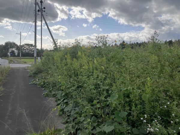 Corner Lot Land Along Rindo Line in Nasushiobara - Photo 1