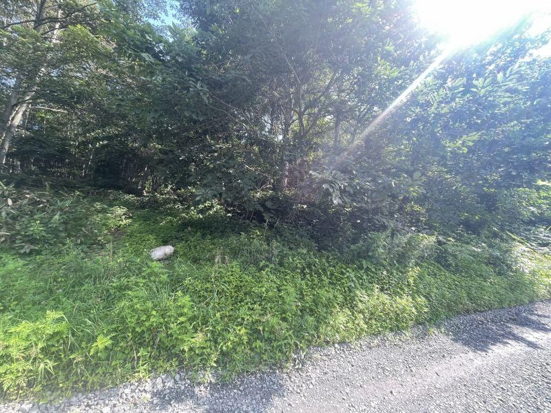 Convenient Land in Jinkawa Town - Photo 1
