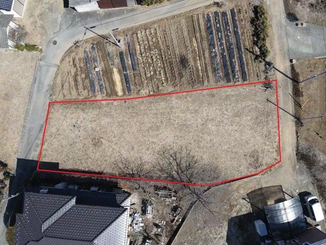 Property - Photo 1