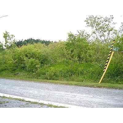 Versatile Land in Jinkawa-cho (Goryokaku Station) - Photo 1