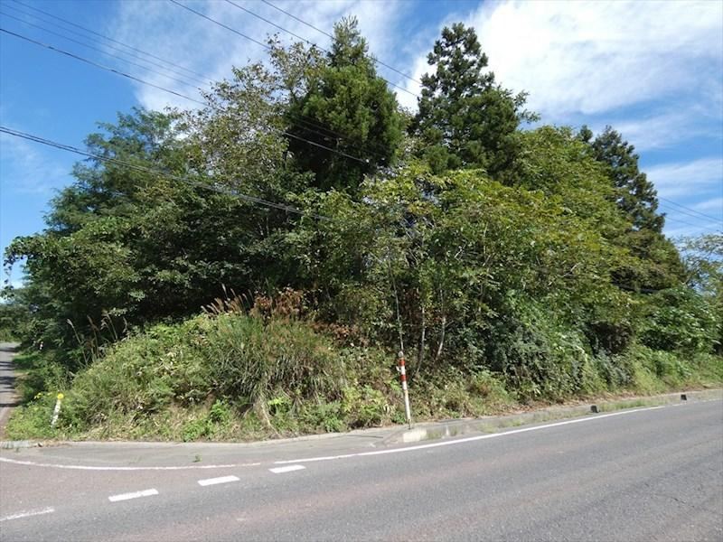 Land Along Prefectural Road in Tōhoku - Photo 1