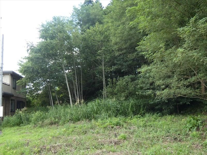 Land Near Shimo Park - Photo 1