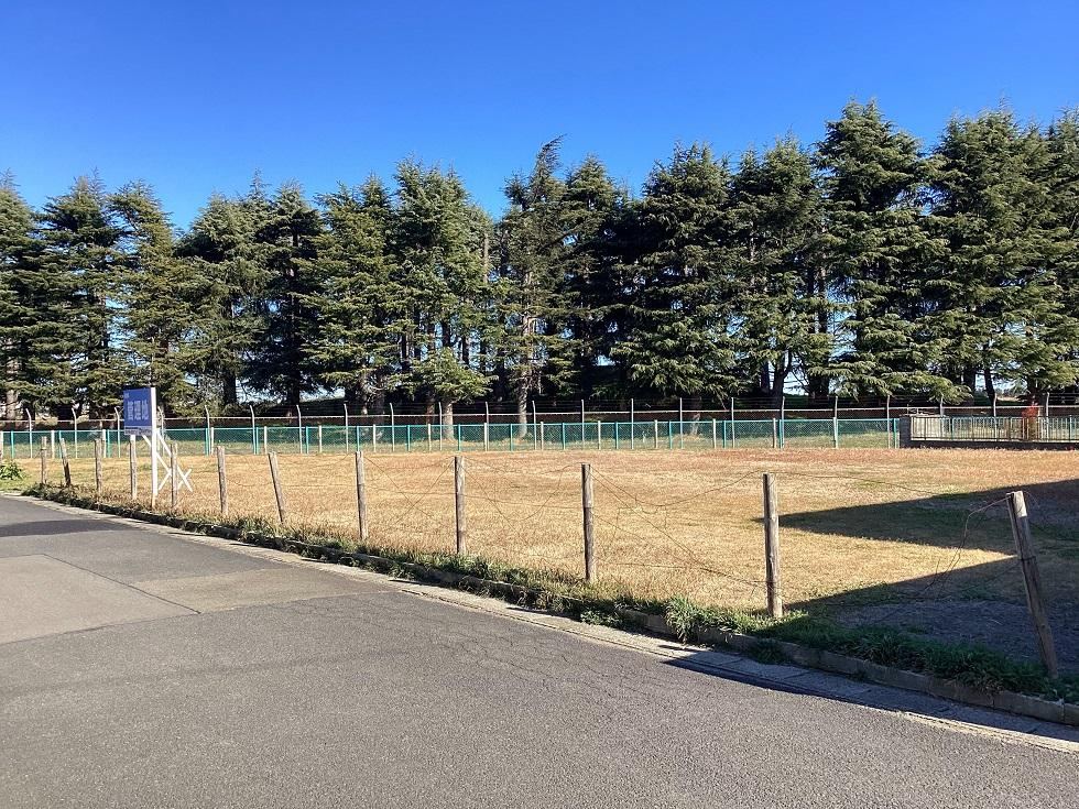 Land with No Building Conditions in Wakabayashi - Photo 1