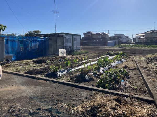 Affordable Land in Nogi - Photo 1