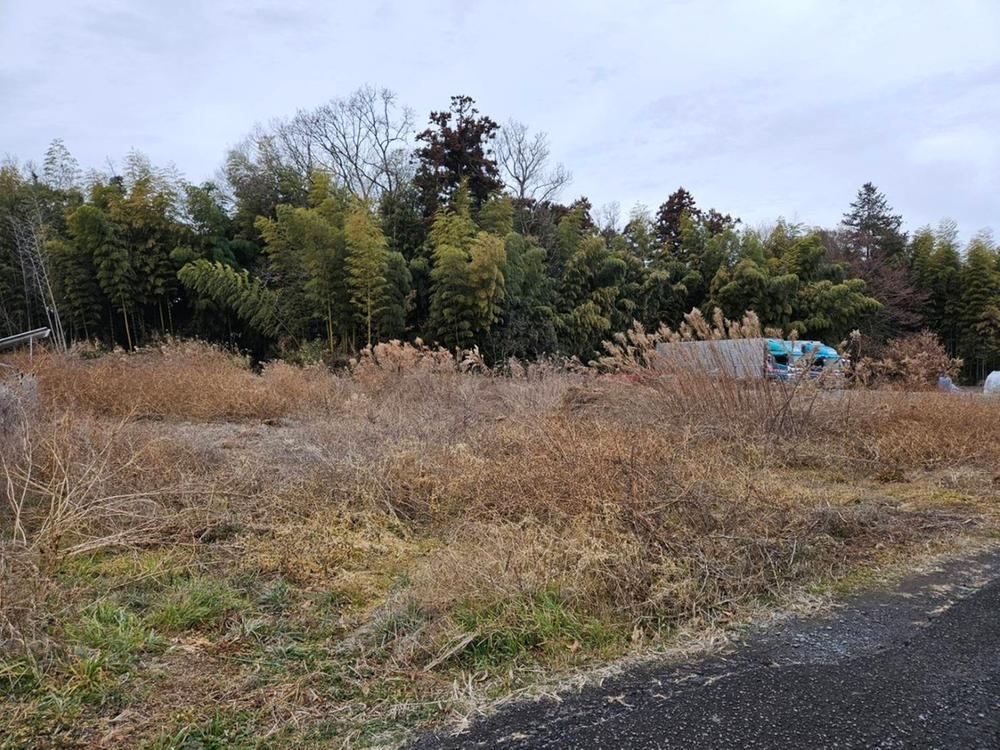 Sunny Land in Minamisakude - Photo 1