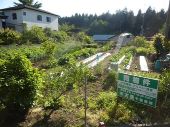 plot of land in Kamikita District
