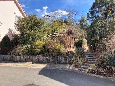 Property - Photo 1