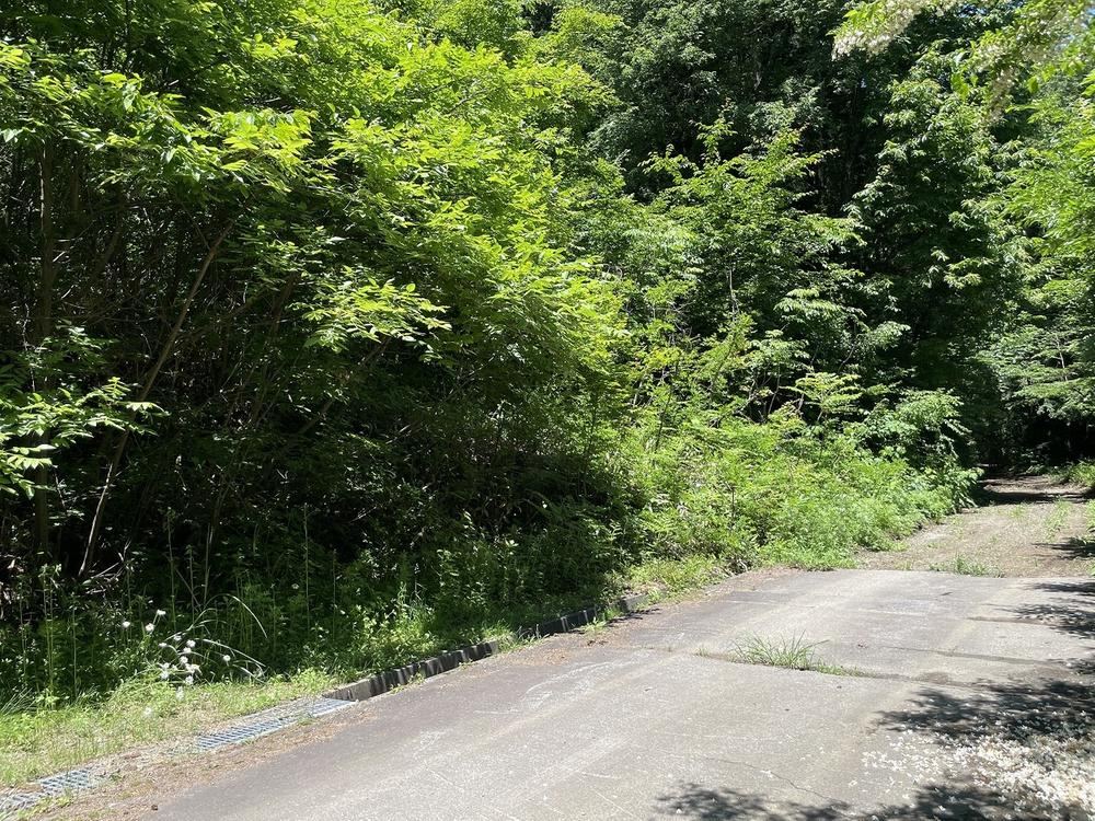 1131 m² land in Azumino, Nagano - Photo 1