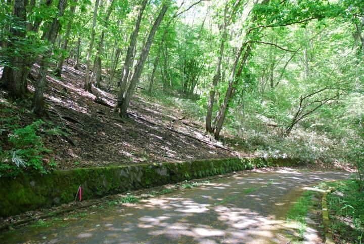 663 m² land in Karuizawa, Kitasaku District, Nagano - Photo 1