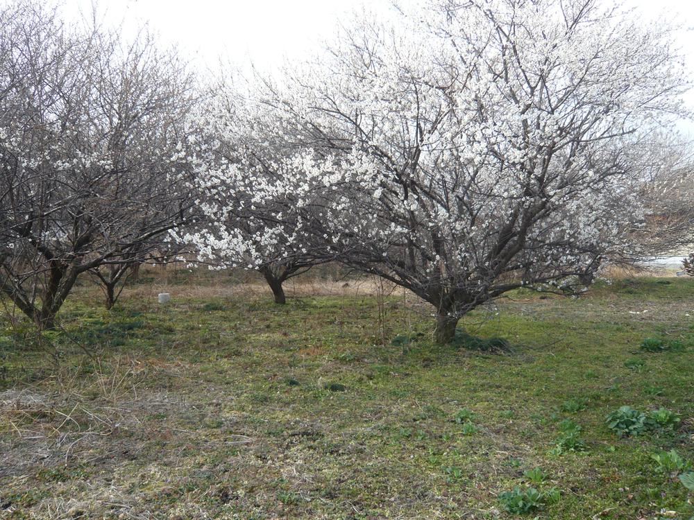 Spacious Land in Shirazawacho, Utsunomiya - Photo 1