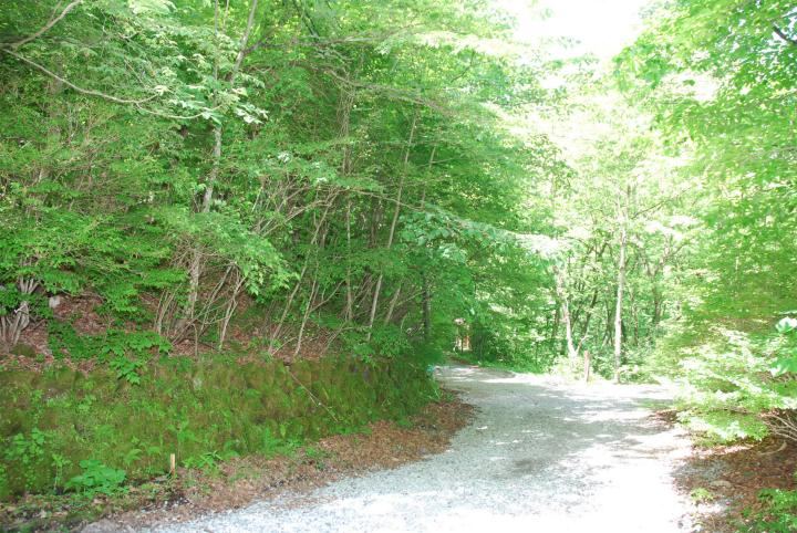 1114 m² land in Karuizawa, Kitasaku District, Nagano - Photo 1