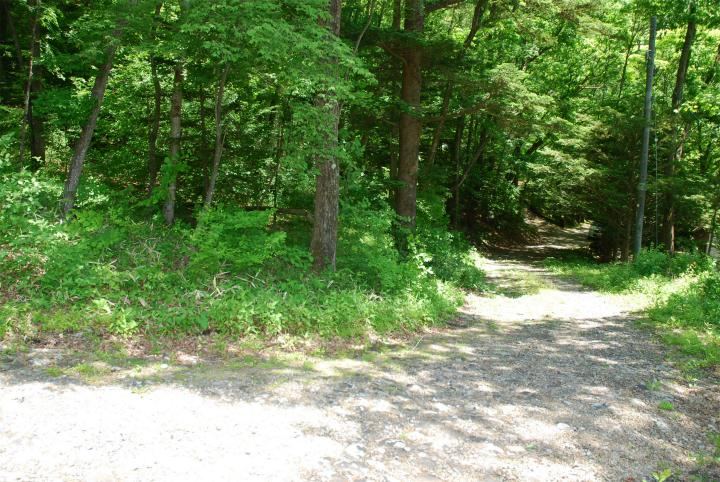 1083 m² land in Karuizawa, Kitasaku District, Nagano - Photo 1