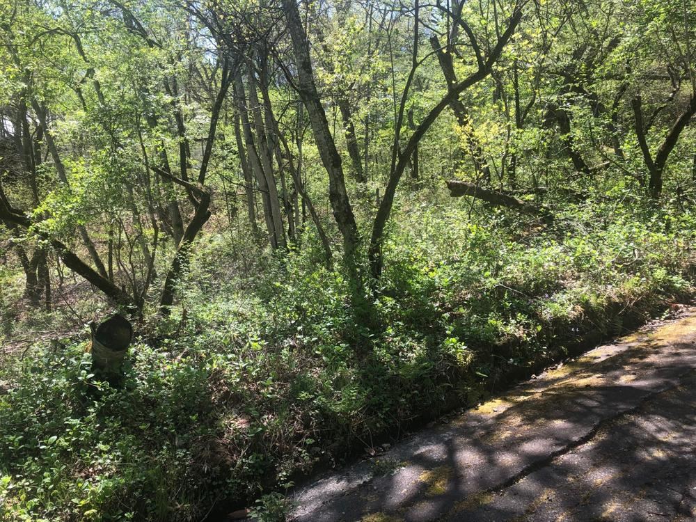 628 m² land in Karuizawa, Kitasaku District, Nagano - Photo 1