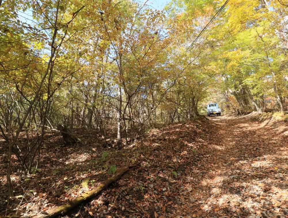 Property - Photo 1