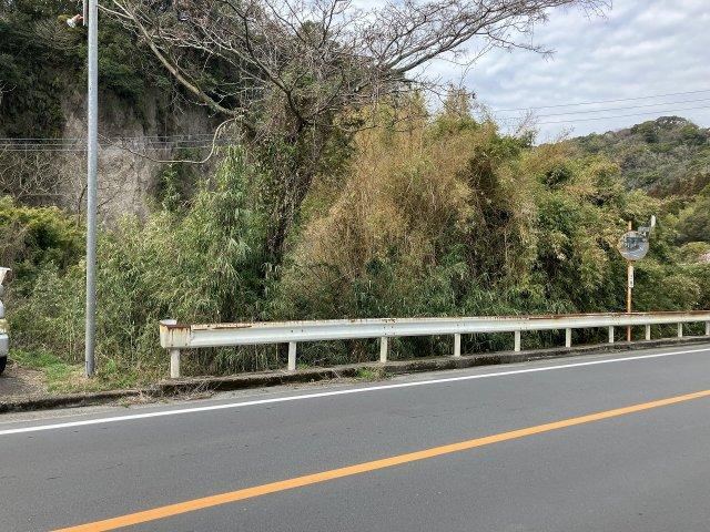 Property - Photo 1