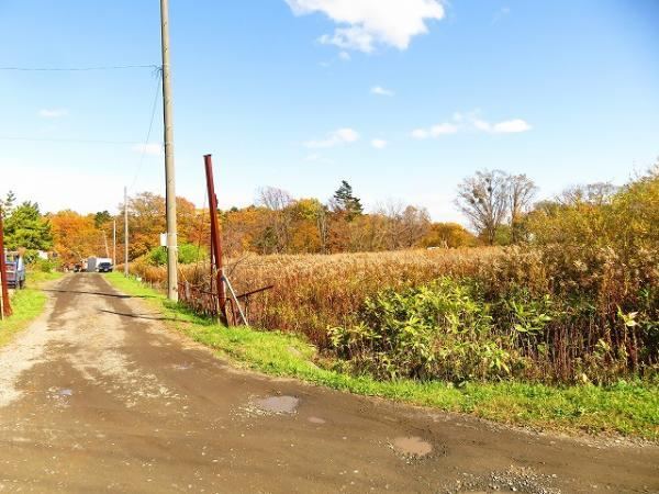 Large Plot of Land in Nishinosato - Photo 1