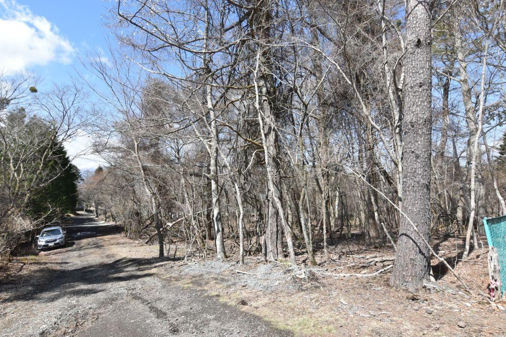 2379 m² land in Yamanakako, Minamitsuru District, Yamanashi - Photo 1