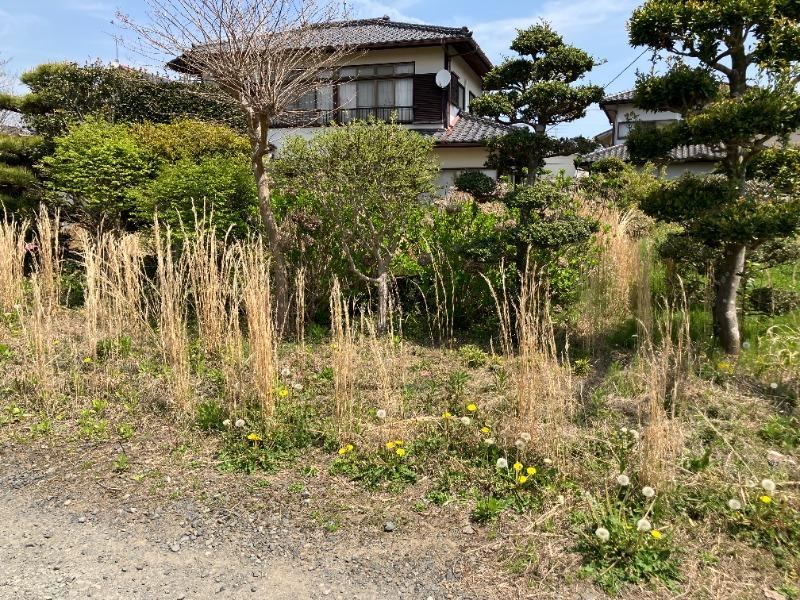 Sunny Land with Easy Access to Route 349 - Photo 1