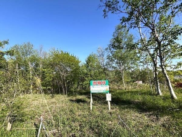 Versatile Land in Oomagari - Photo 1