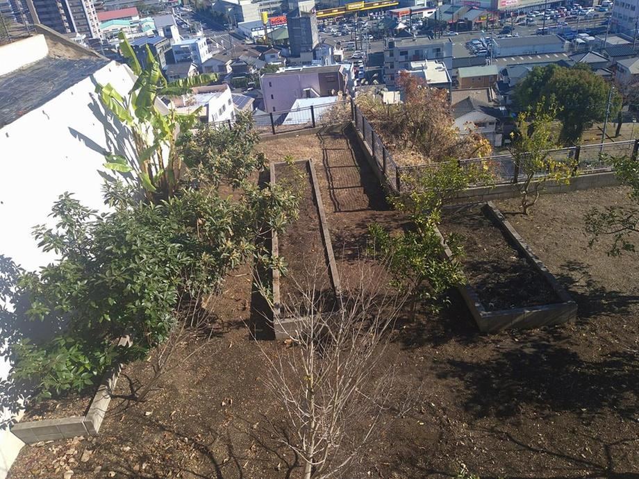 Property - Photo 1