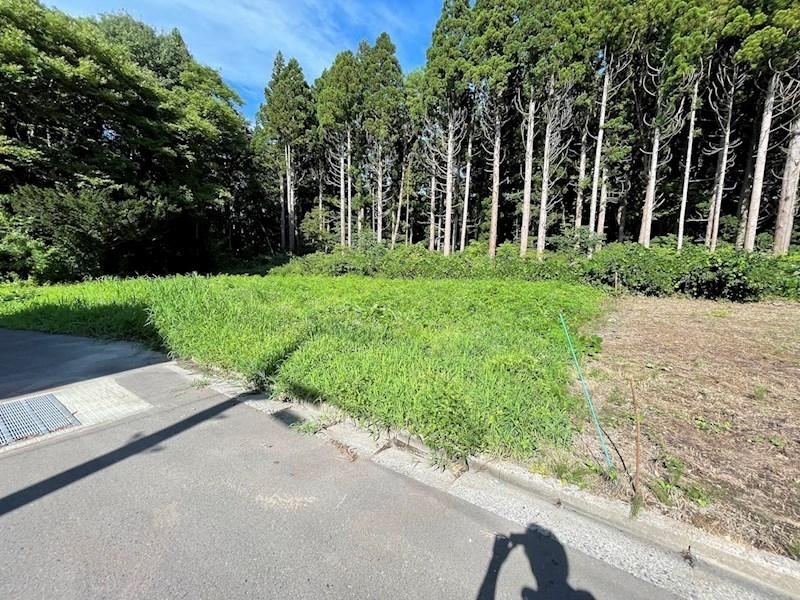 Spacious Land in Quiet Residential Area - Photo 1